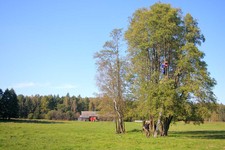 Obraz 2104